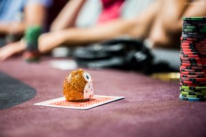 IMG_4109-1